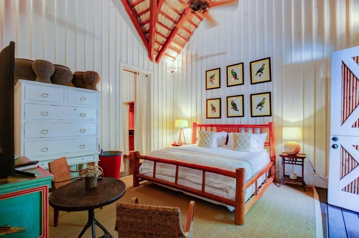 Luxury Villa In Punta Cana